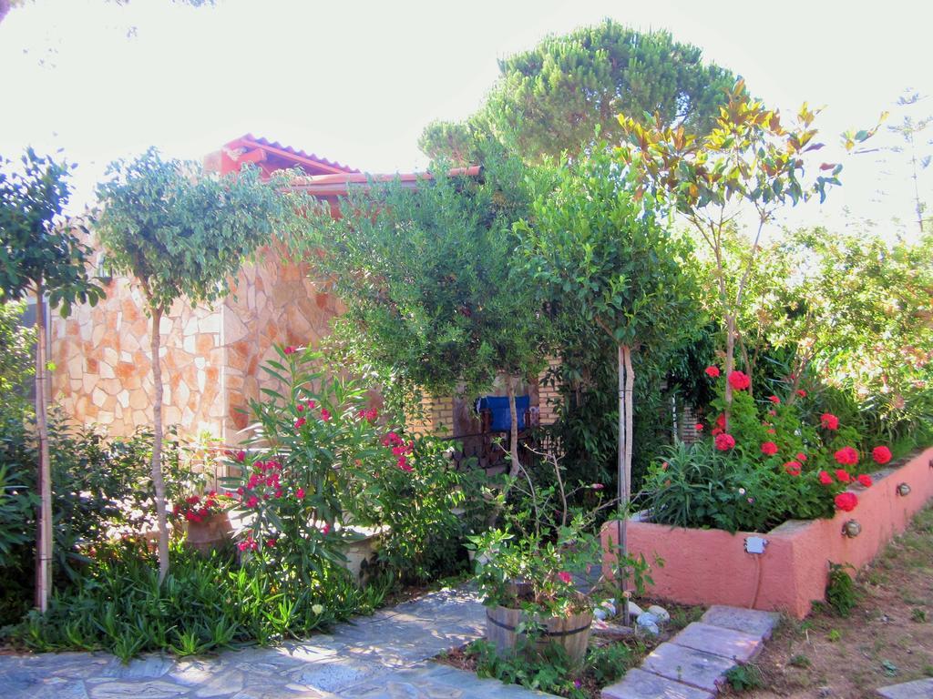 Aparthotel Artemis Vassilikos Vasilikí Camera foto